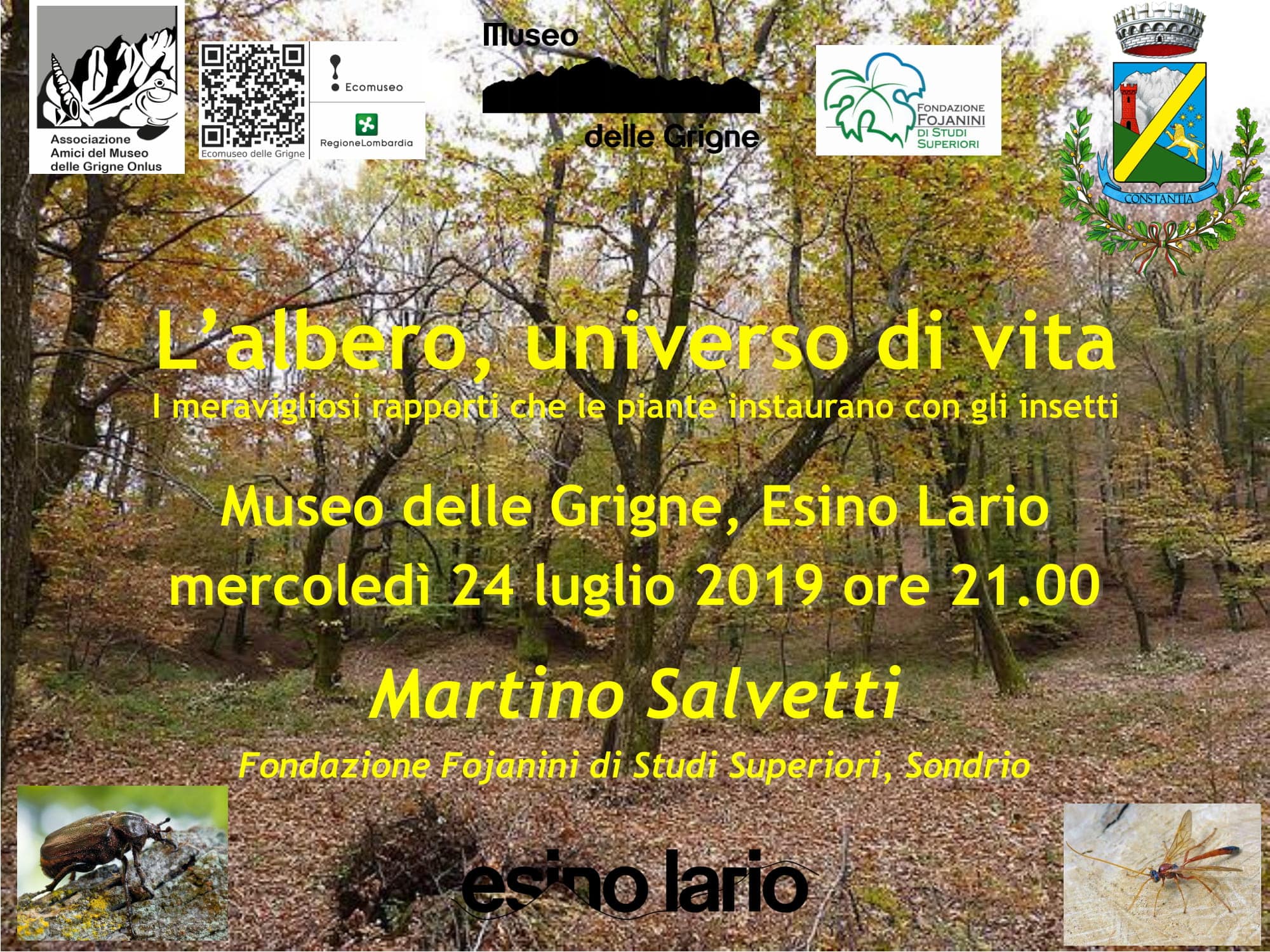 Locandina ALBERO 24.7.2019